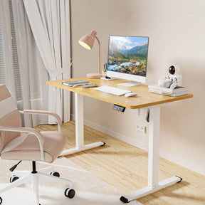 MOUNTUP 48x24" Electric Height Adjustable Standing Desk- Oak