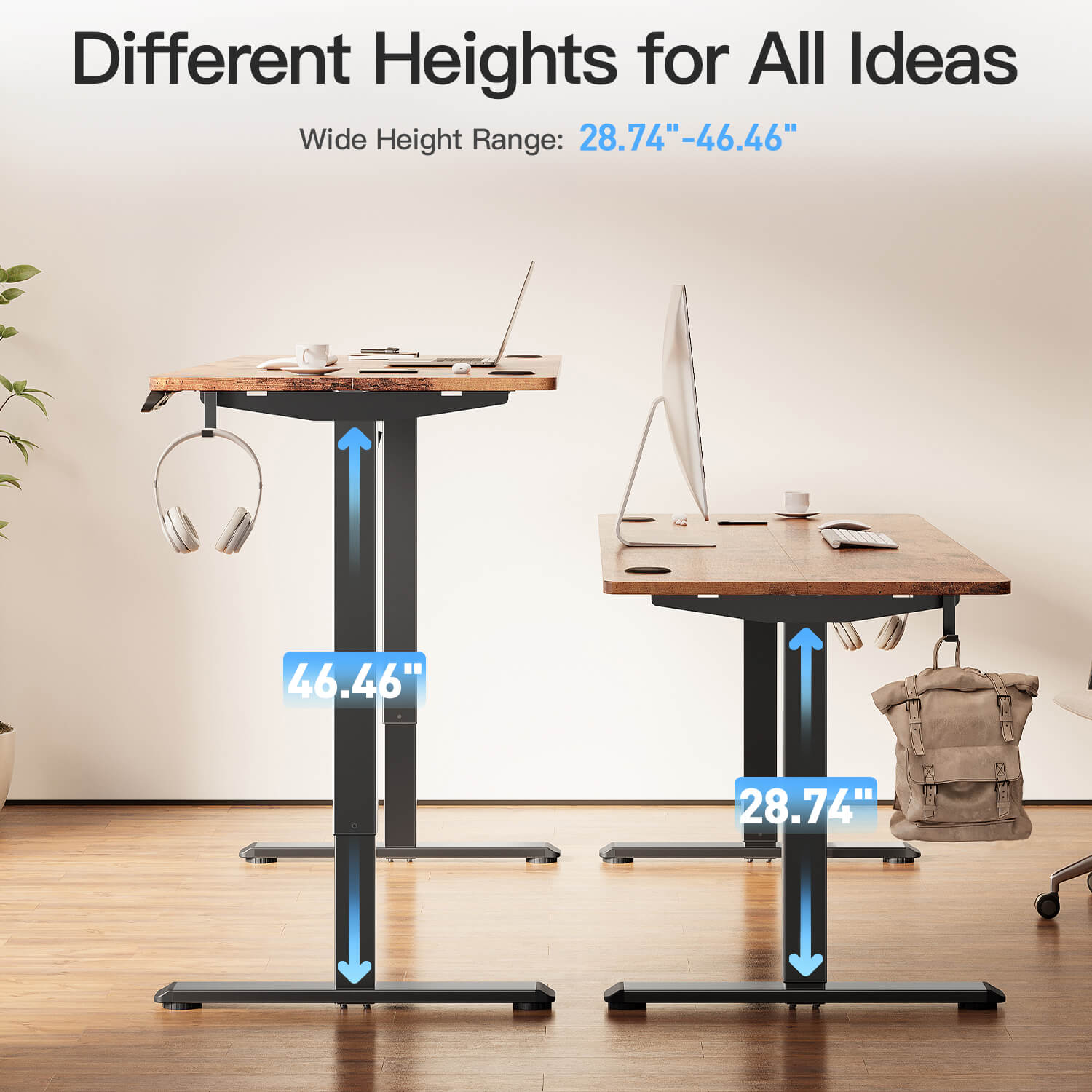 MOUNTUP 55 x 24 Inches Electric Height Adjustable Standing Desk UP512-B3