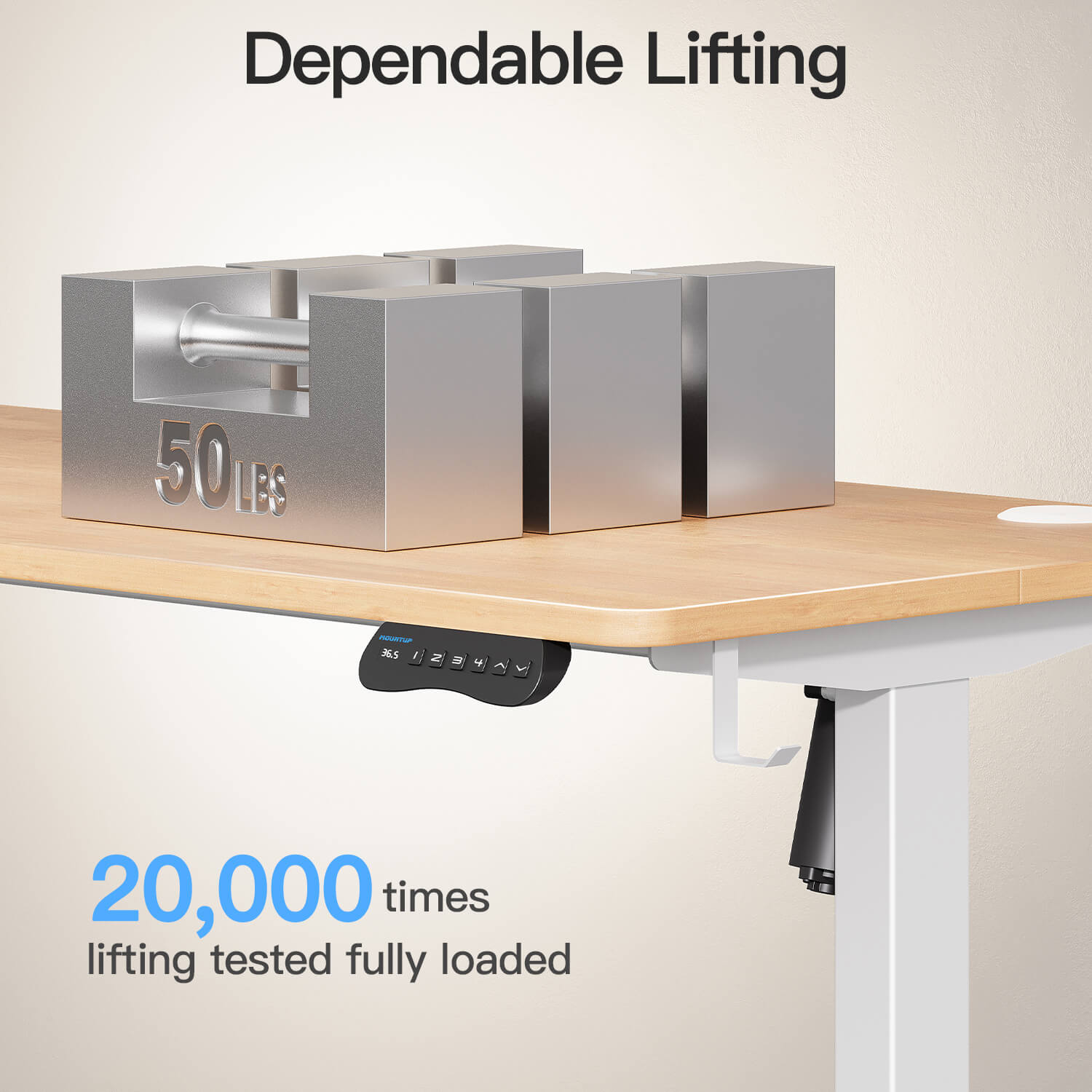 MOUNTUP 55 x 24 Inches Electric Height Adjustable Standing Desk UP512-W5