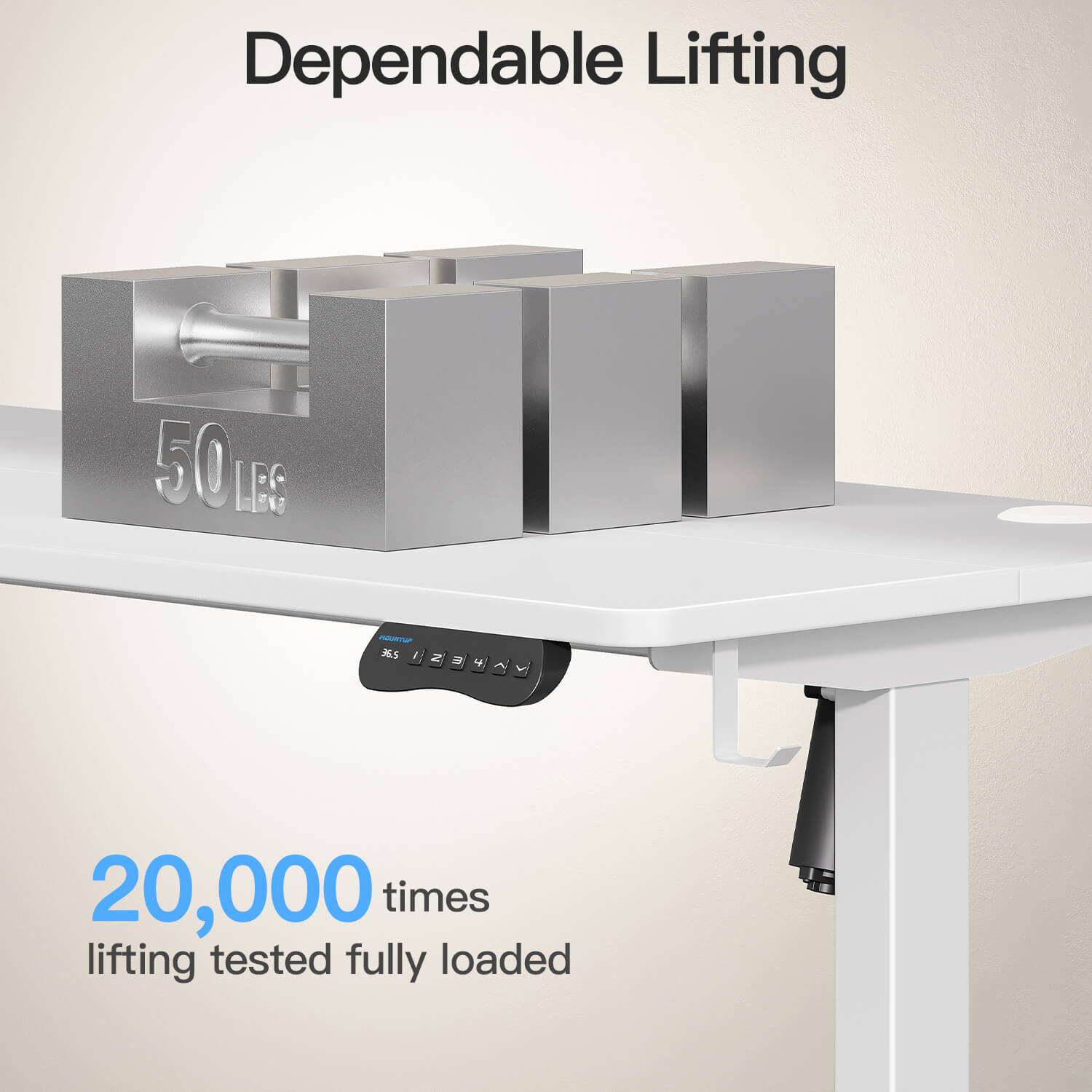 MOUNTUP 55 x 24 Inches Electric Height Adjustable Standing Desk UP512-W4